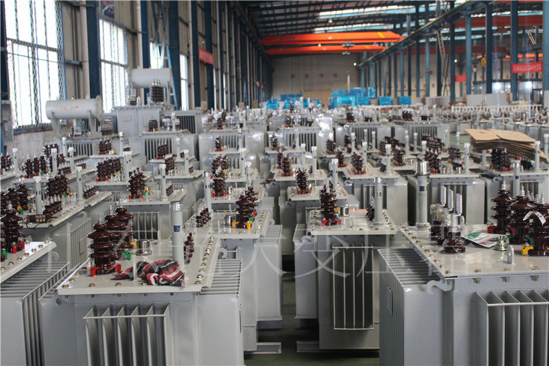 浦城S22-800KVA/10KV