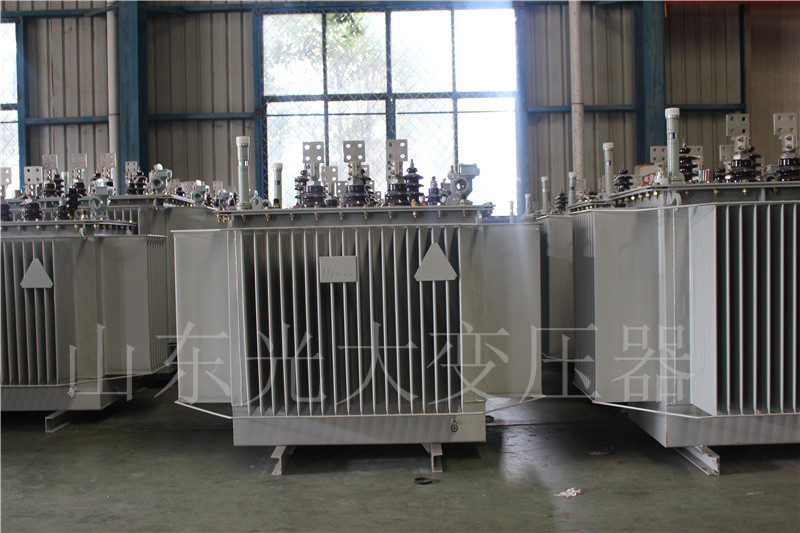 浦城S20-500KVA/10KV